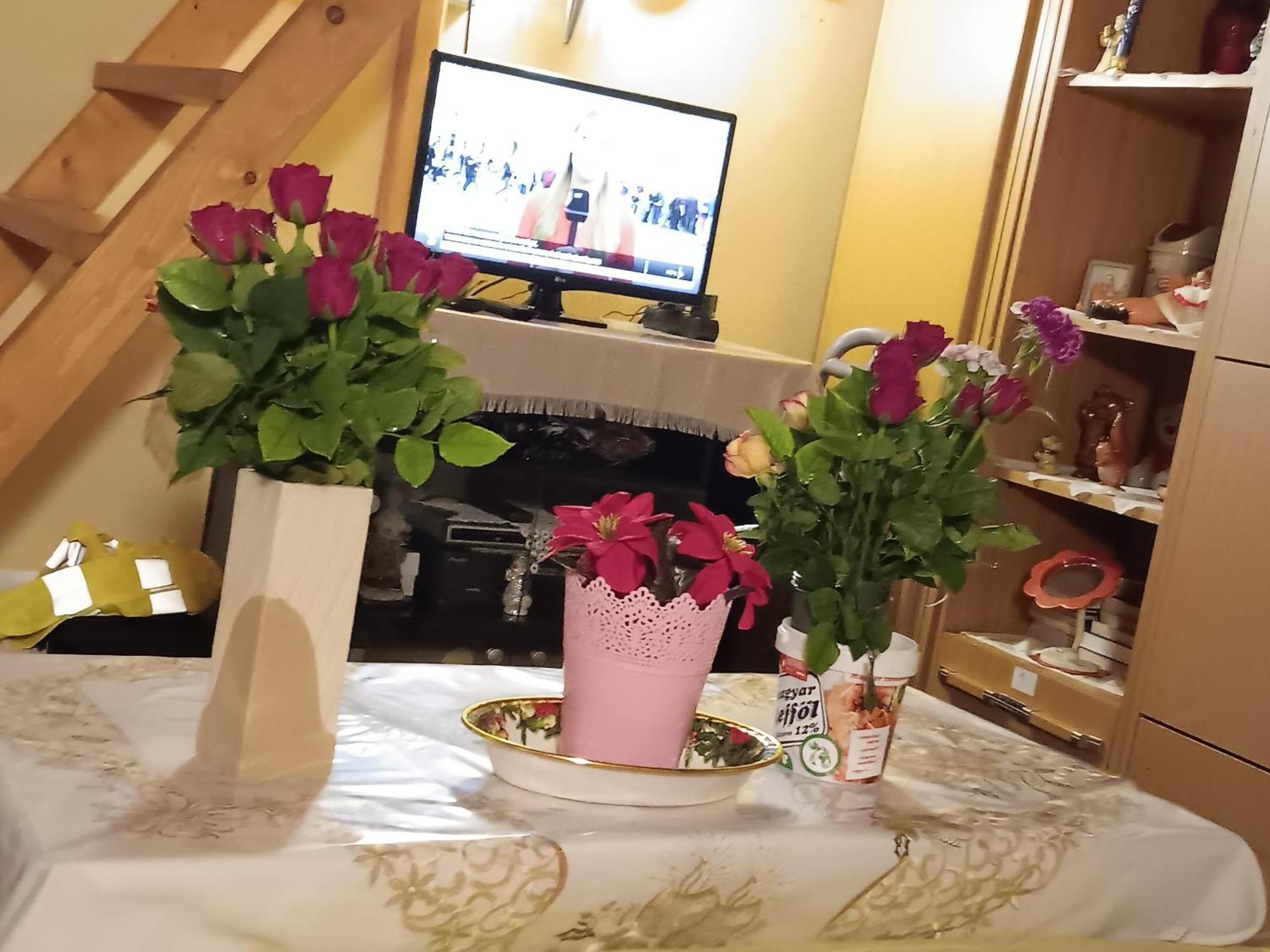 Budapest Central Apartment Homestay